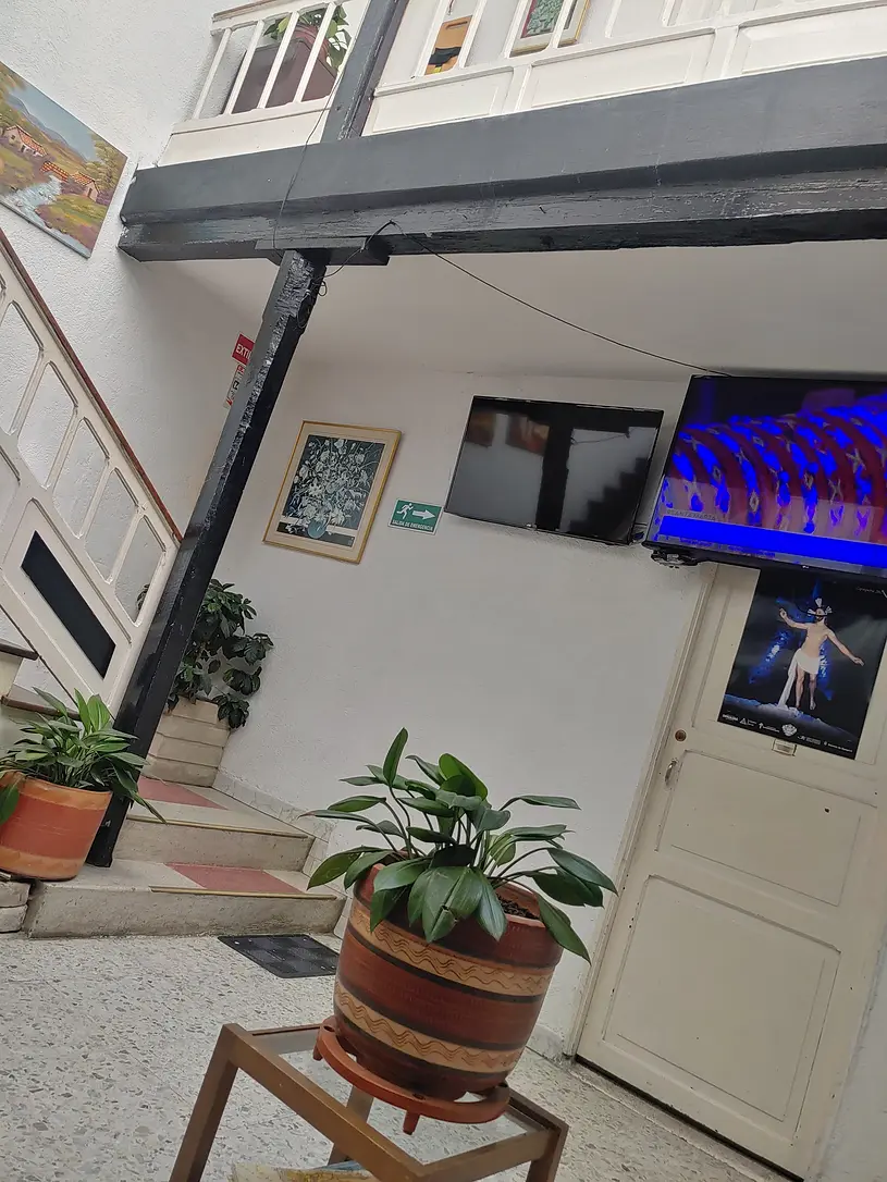 Zona comun interior de Hotel La Margarita con plantas y televisión